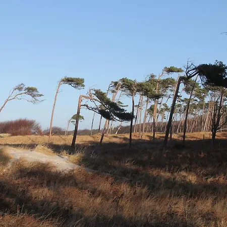 Ostseesonne شقة *