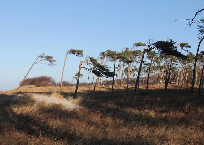Ostseesonne Lägenhet *